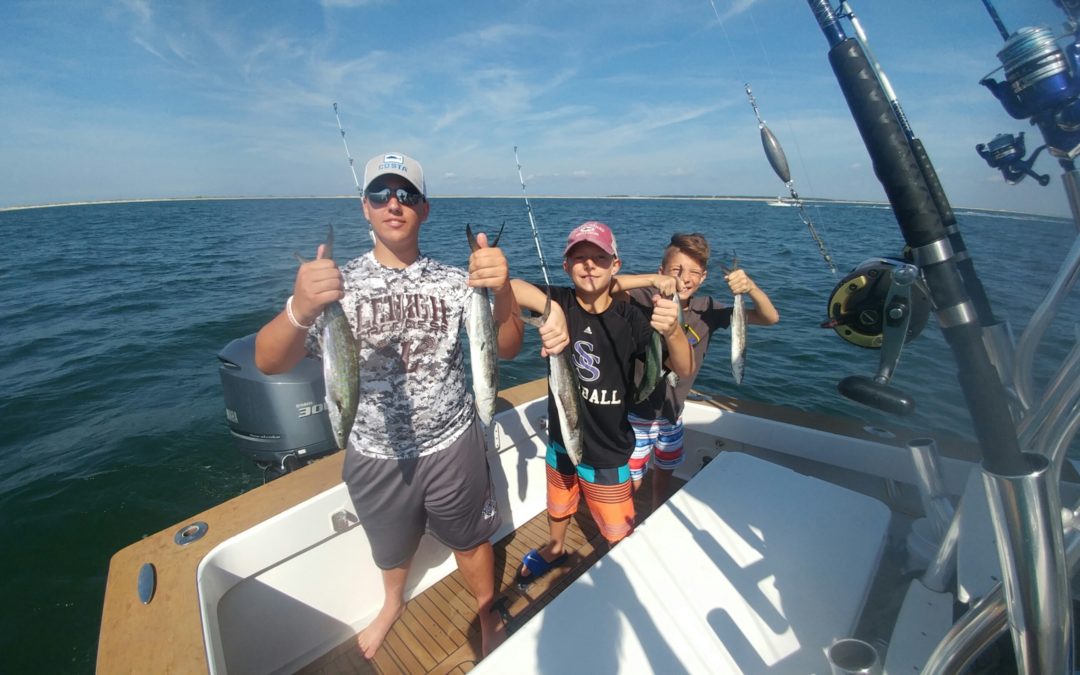 Limits of Mahi and Tilefish Today
