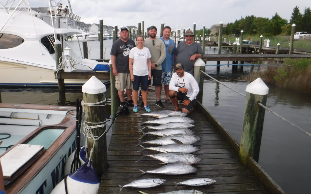 Rainy Weather = Great fishing