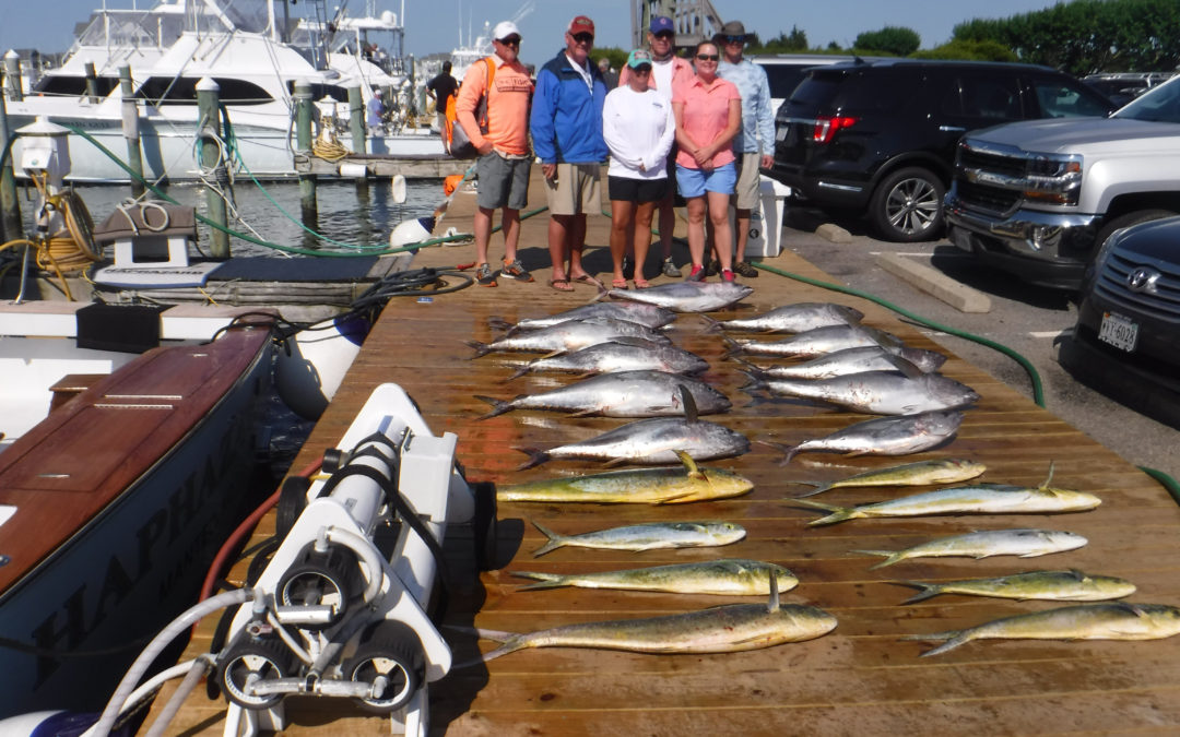 Great Day of Tuna Fishing!