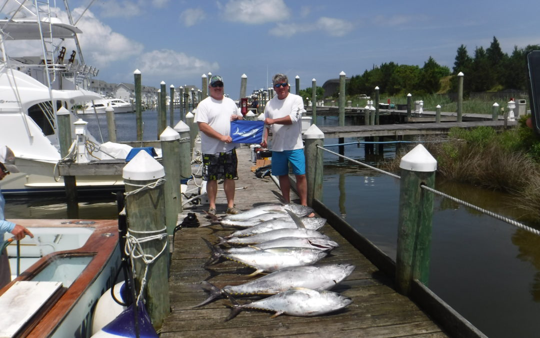 Limits Of Tuna and a White Marlin
