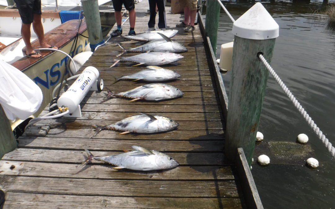 Fishing Done Right…
