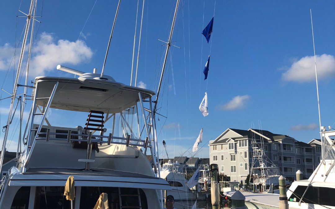 Come Sail Away!