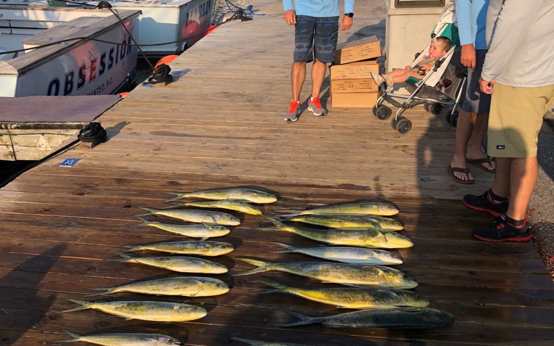 First Day Back Fishing…