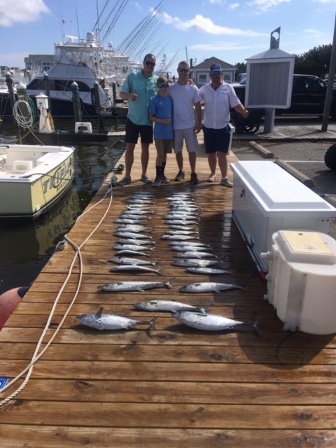 Holy Mackerel!