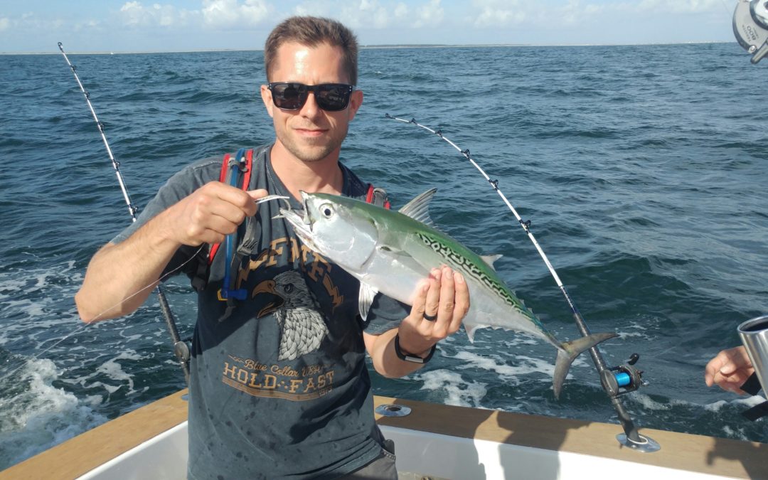 Spanish Mack..False Albacore