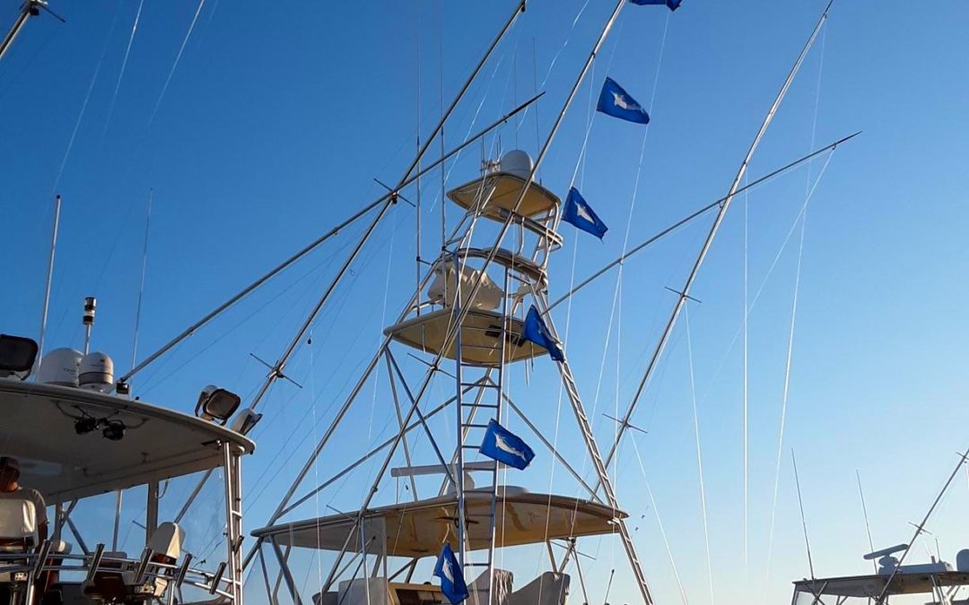 Monday Fun Fishing…