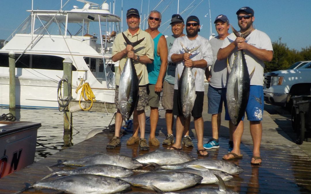 Marlin, Dolphin and Tuna…..OH MY!