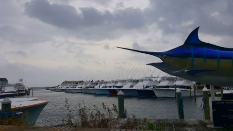 Hurricane Mathew….