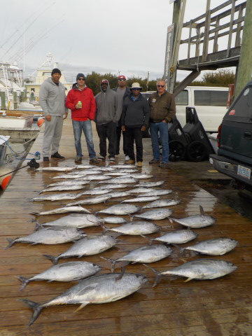 Tuna Today…..