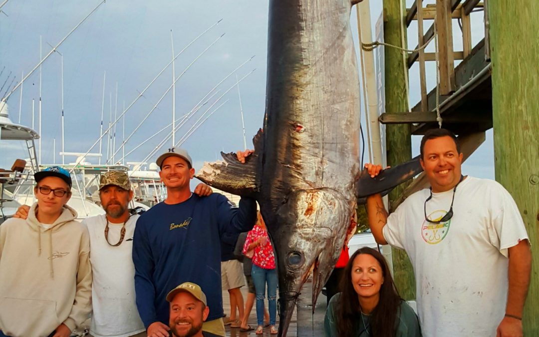 What a Fish….