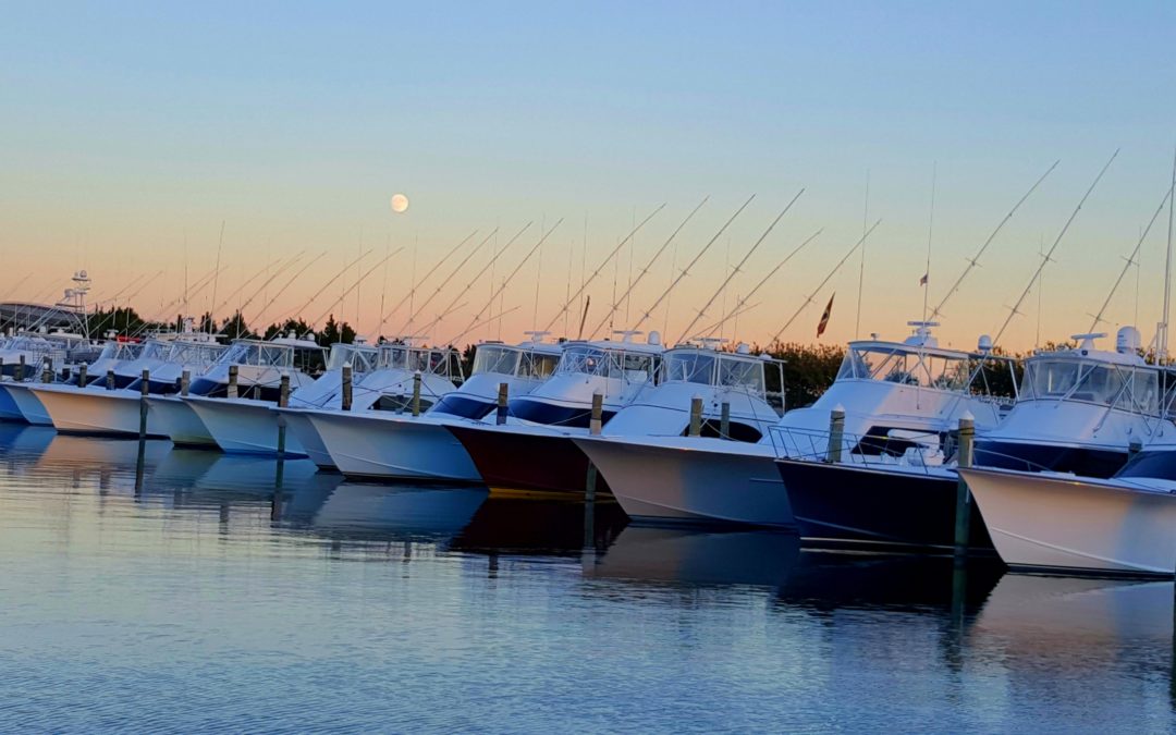 No Fishing Today…