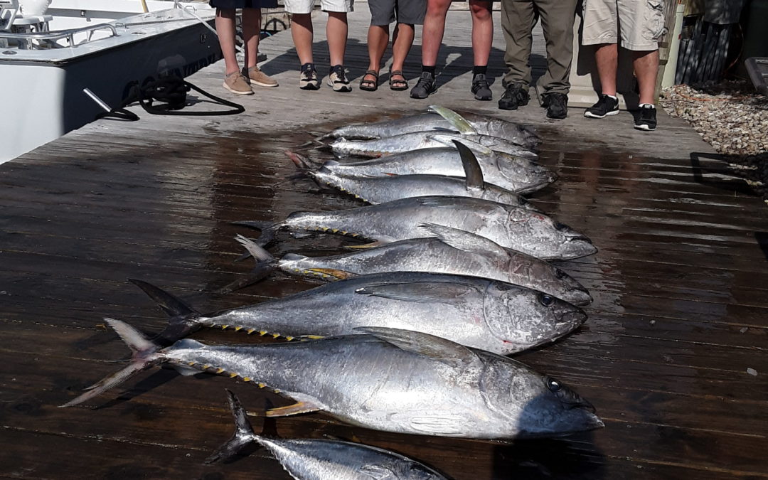 Yellowfin.. Mahi.. and Speckled Trout