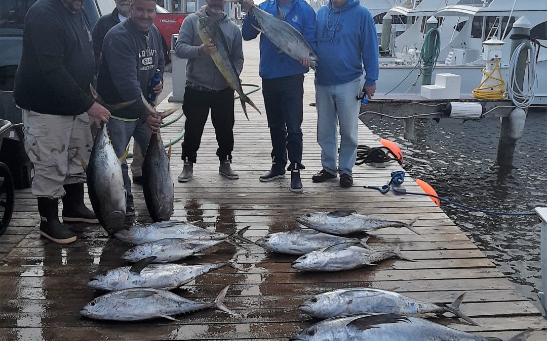 Rough Seas?  Fish Don’t Care!