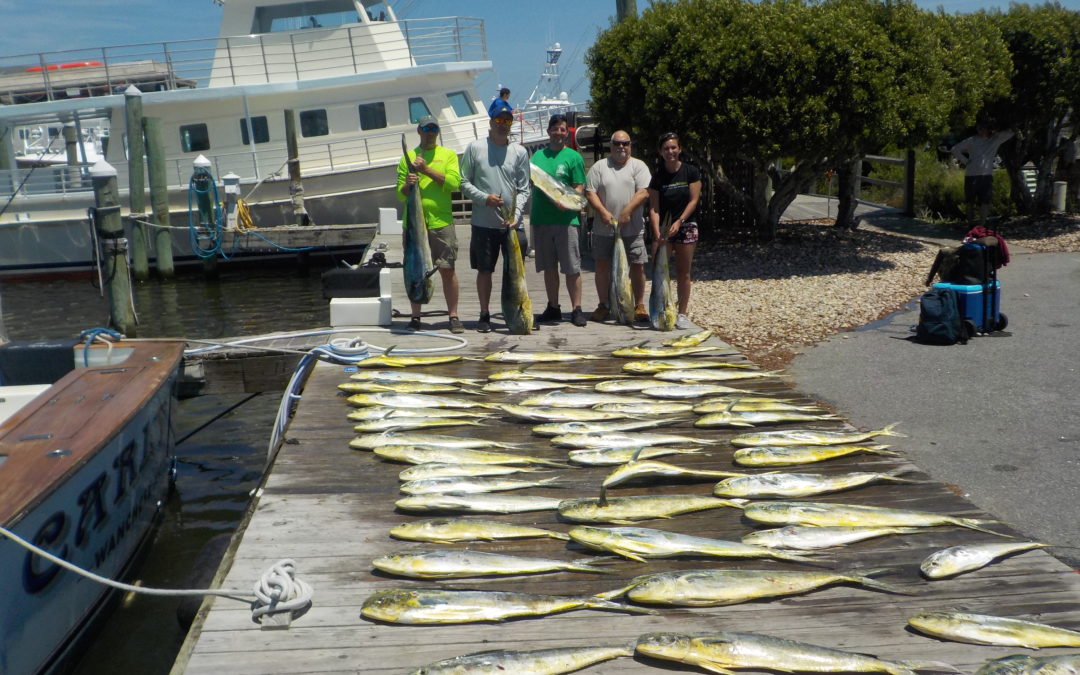 The Fish So Nice, They Named it Twice!