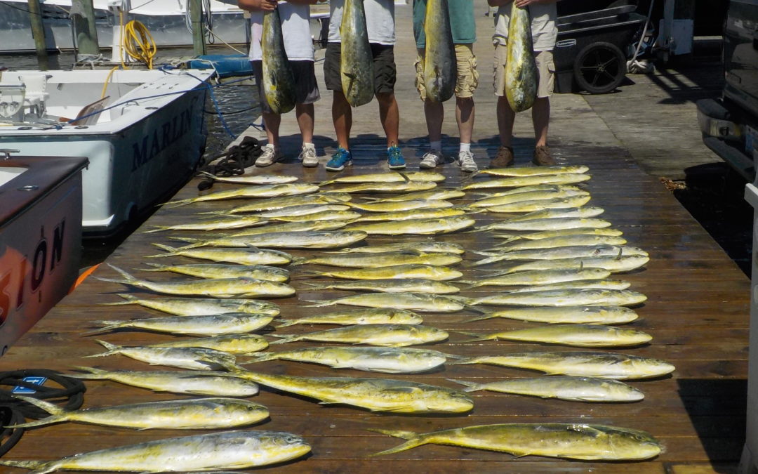 A REEL Good Time!