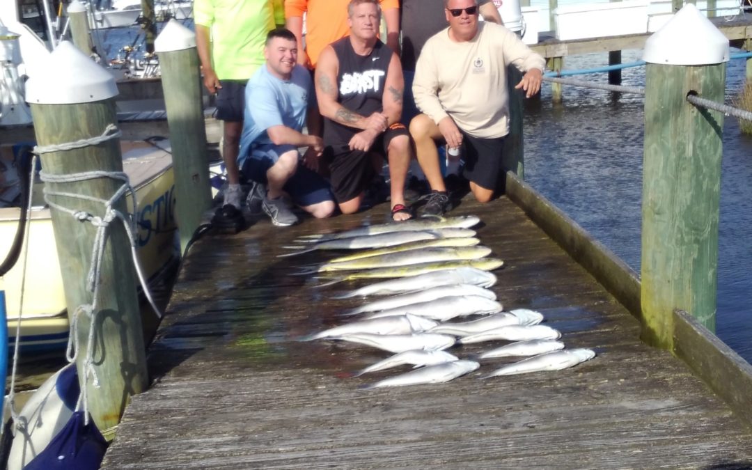 Meatfish!