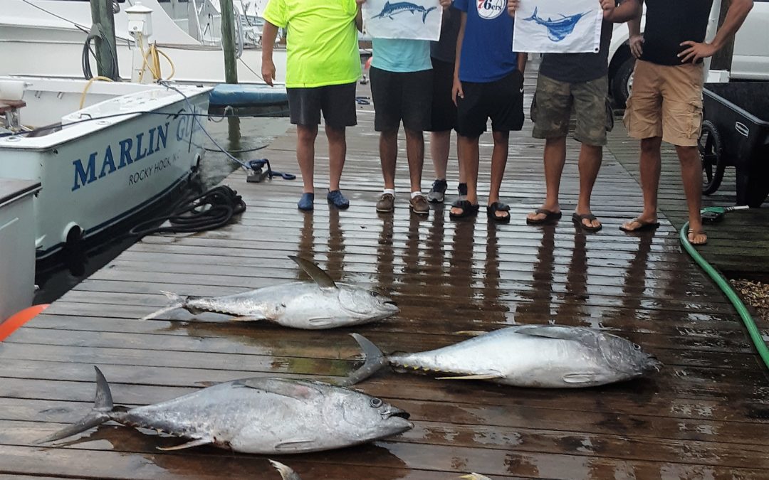 One Fish Two Fish…..