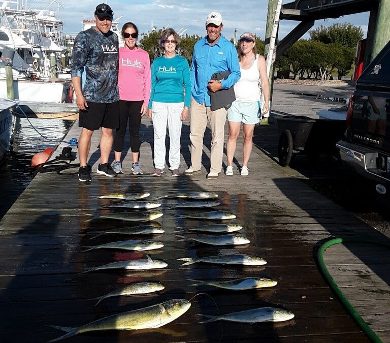Nothing Fishy going on around here!