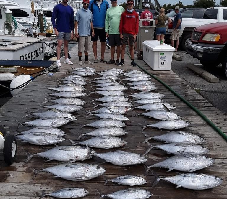 Tuna Tuesday!