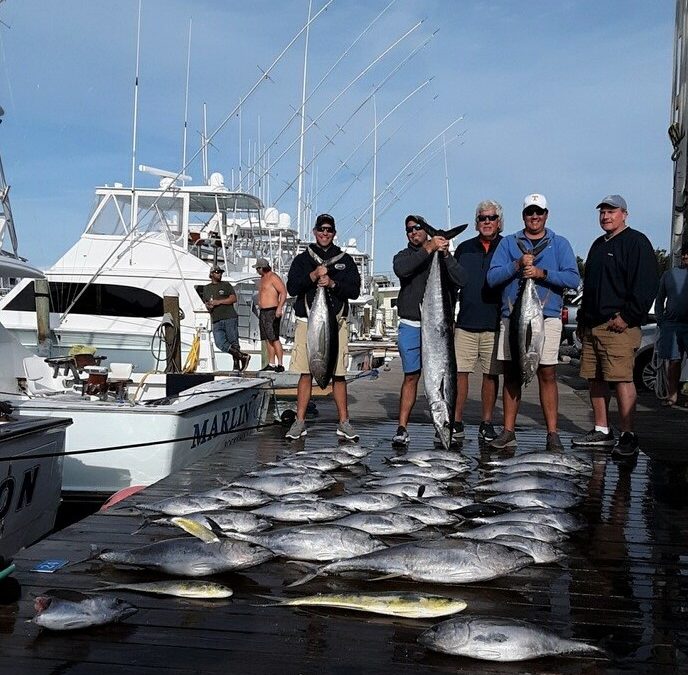 Wham!  Bam!  Grand Meat Fish Slam!