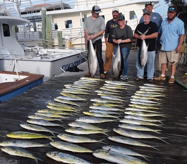 Wednesday’s Catch