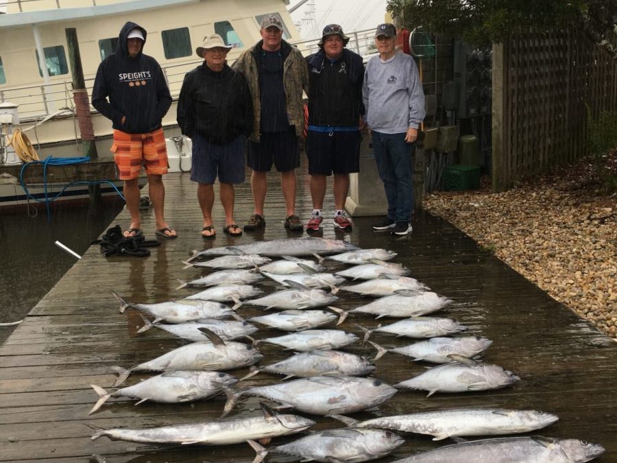 Fishin’ in the Rain