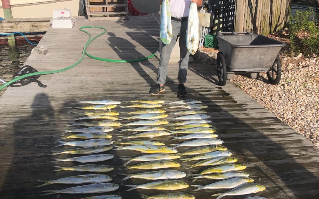 The Fish so Nice, They Named it Twice!