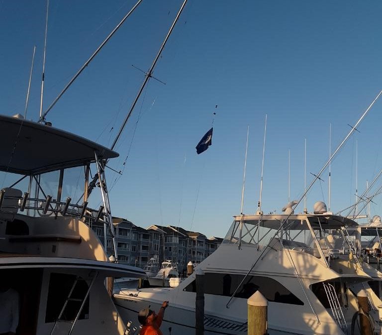 Gone Fishin’