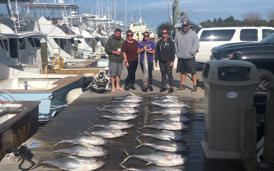 Tuna Thursday!