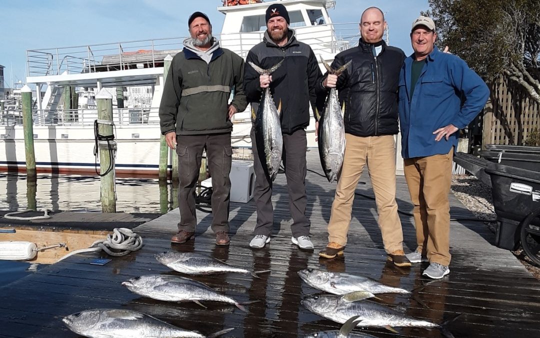 Black, Blue and Yellow… Tunas That Is!