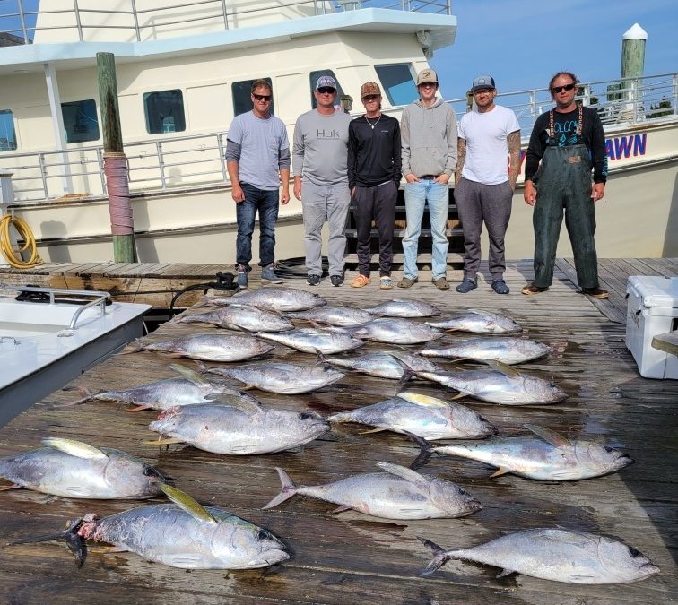 Winner Winner Tuna Dinner!