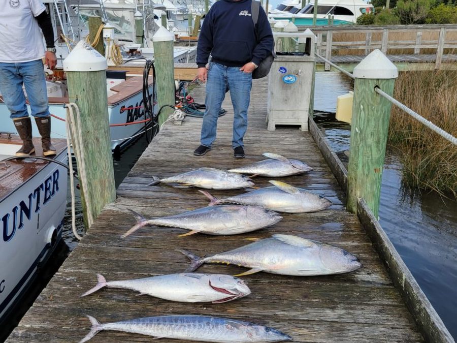 Tight Lines Tuesday!