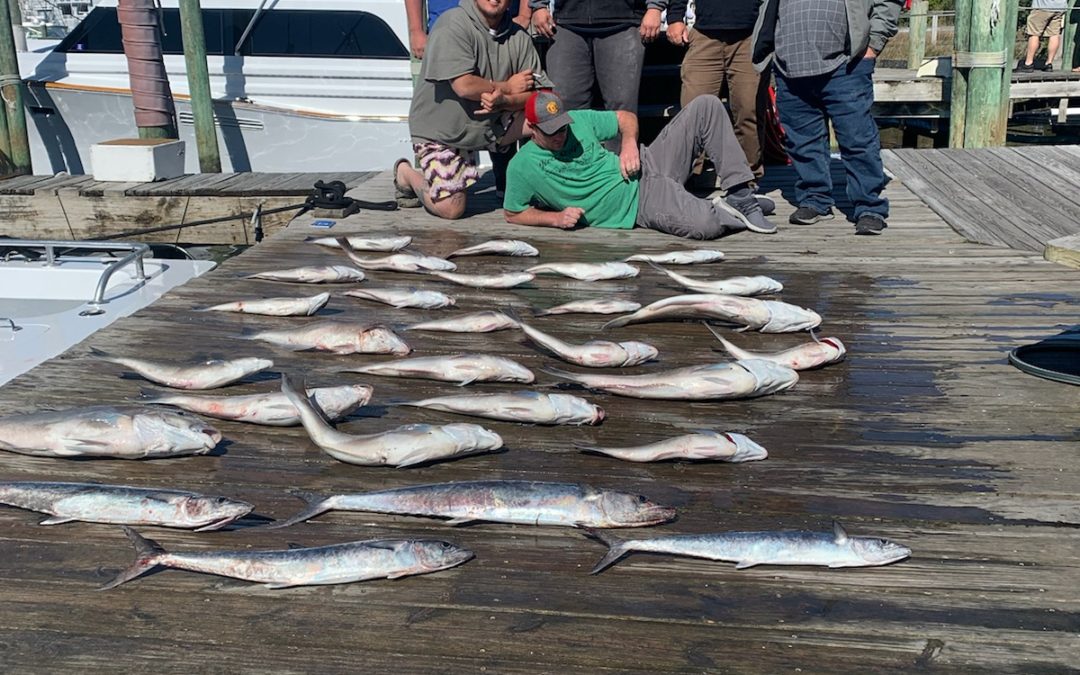 Friday’s Fresh Catch