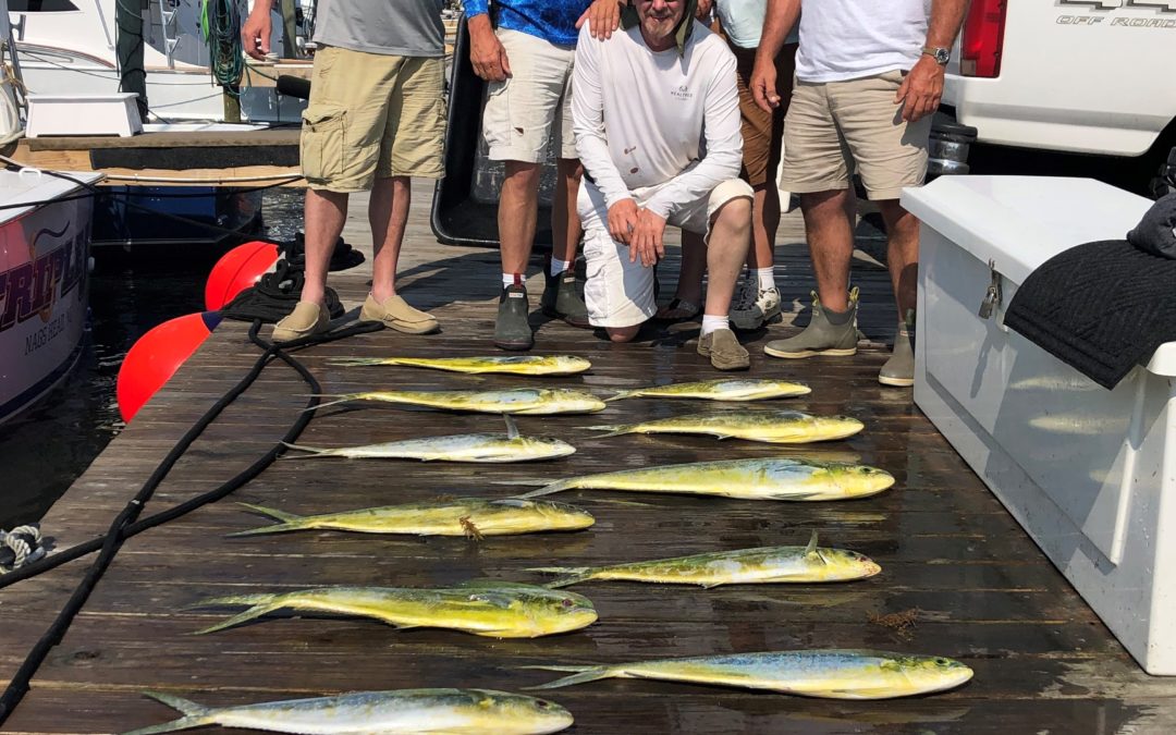 Fresh Friday Catch!