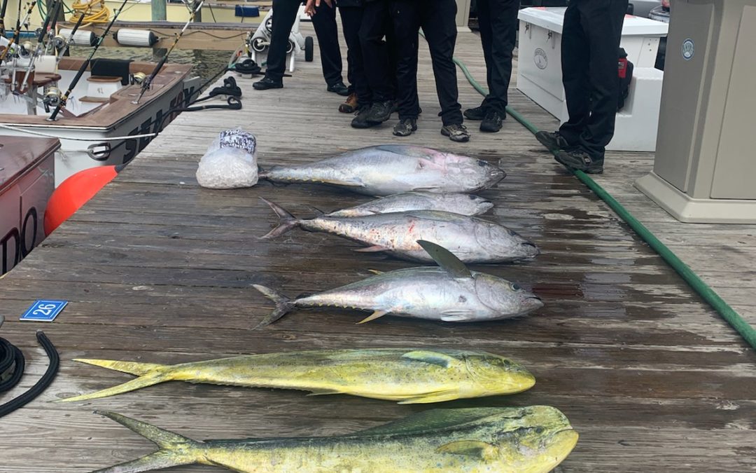 Fridays are for Fishing!
