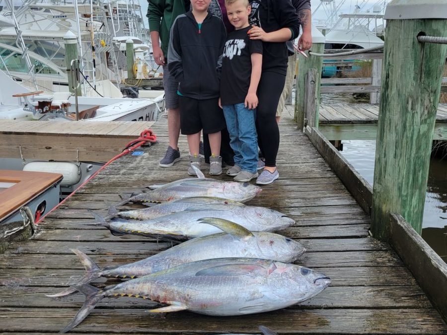 Tuna Tuesday!