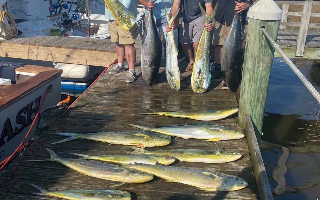 Sunday Fishin’