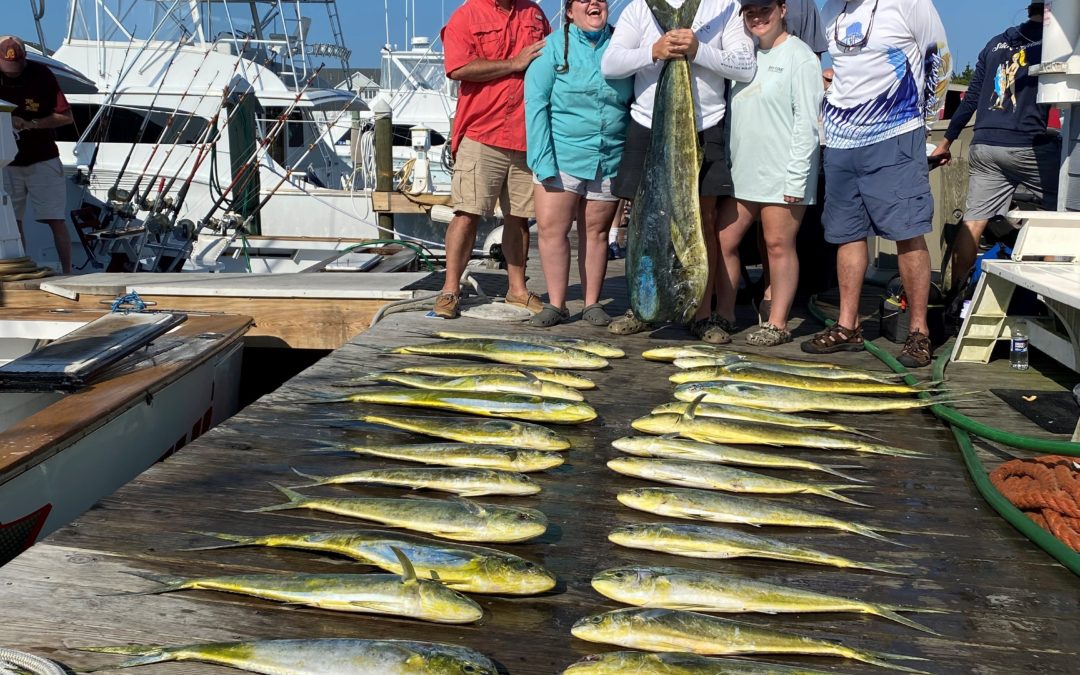 Reel Good Time!