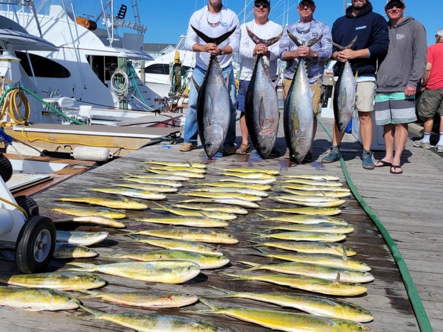 The Fish so Nice, They Named it Twice!