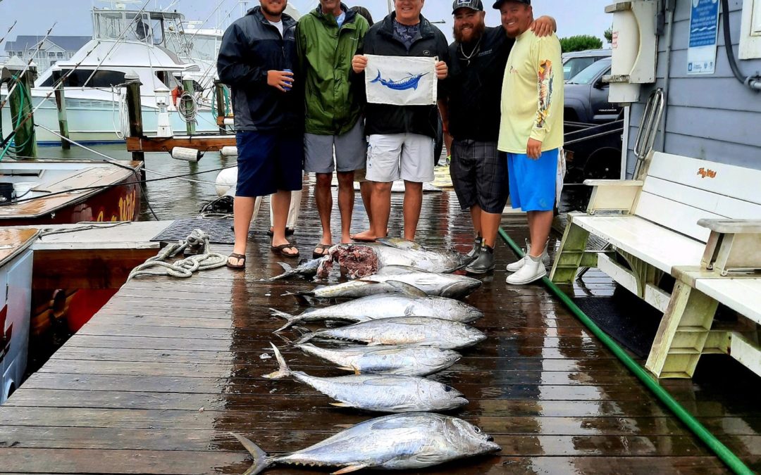 Tight Lines Tuesday!