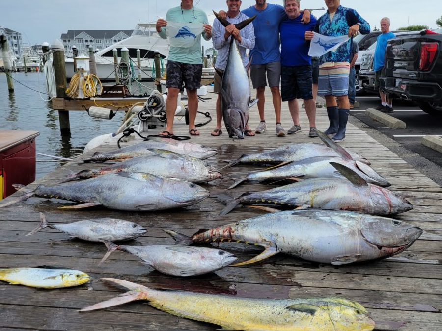 Tuna Thursday!
