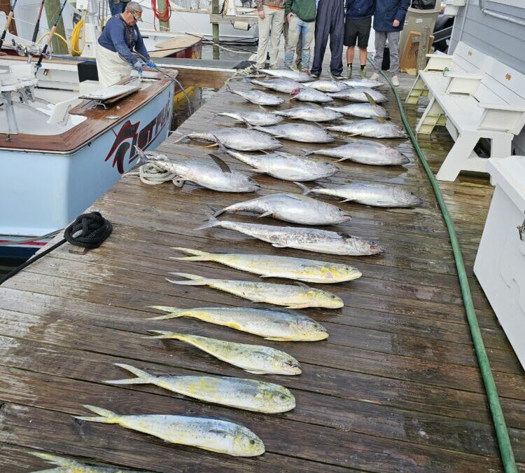 Tuna Time!