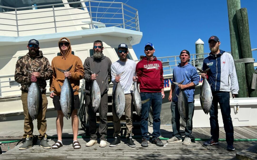 Blackfin Action
