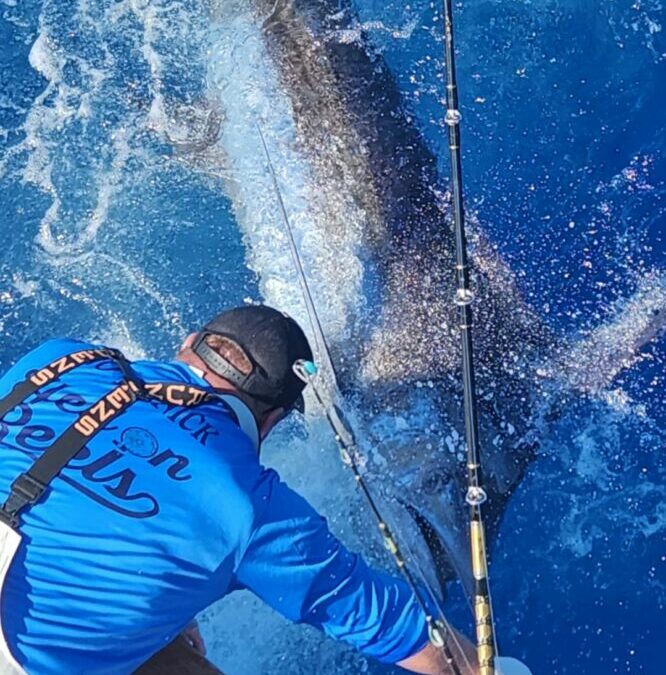 Reel Good Time