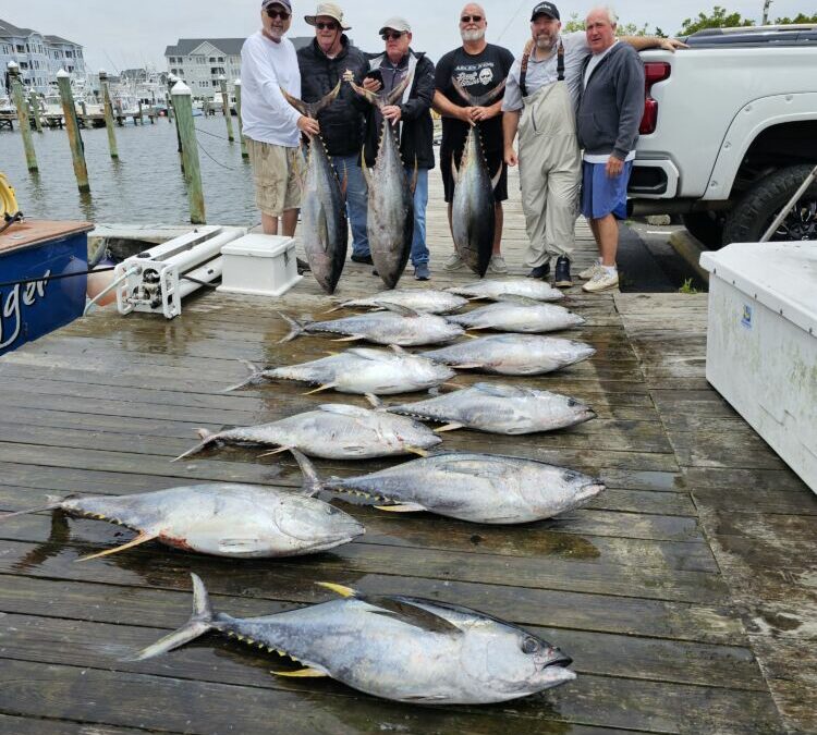 Yellow Fin Fever!