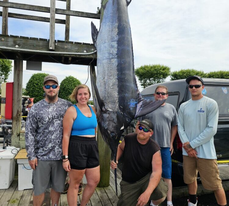 Marlin Mania!