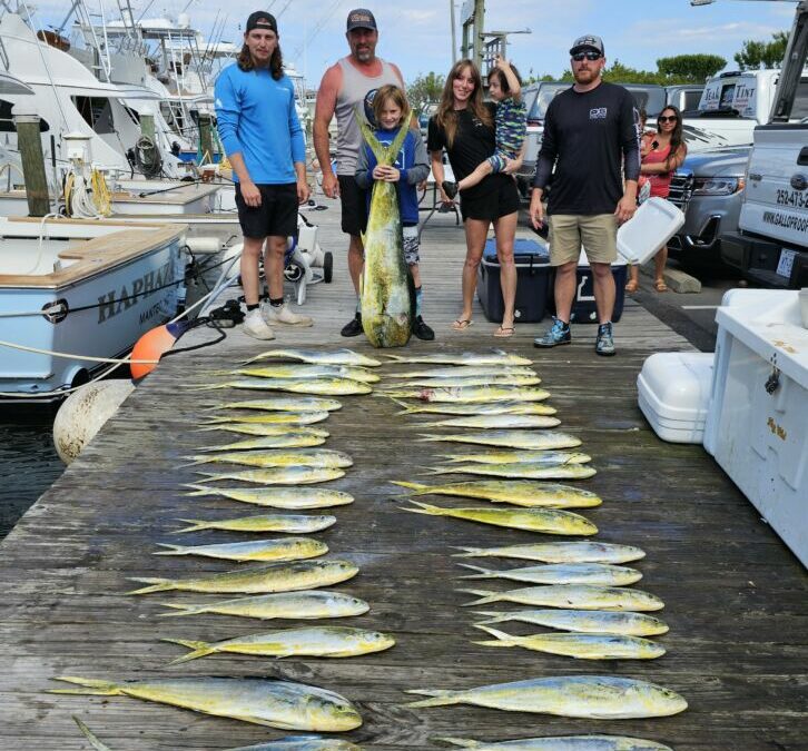 Mixed Bag