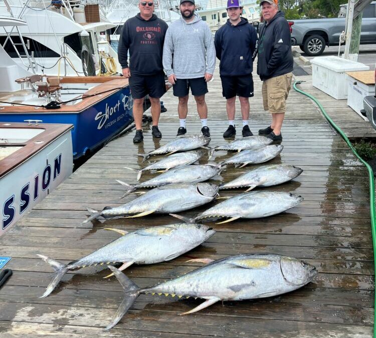 Fewer Fishermen