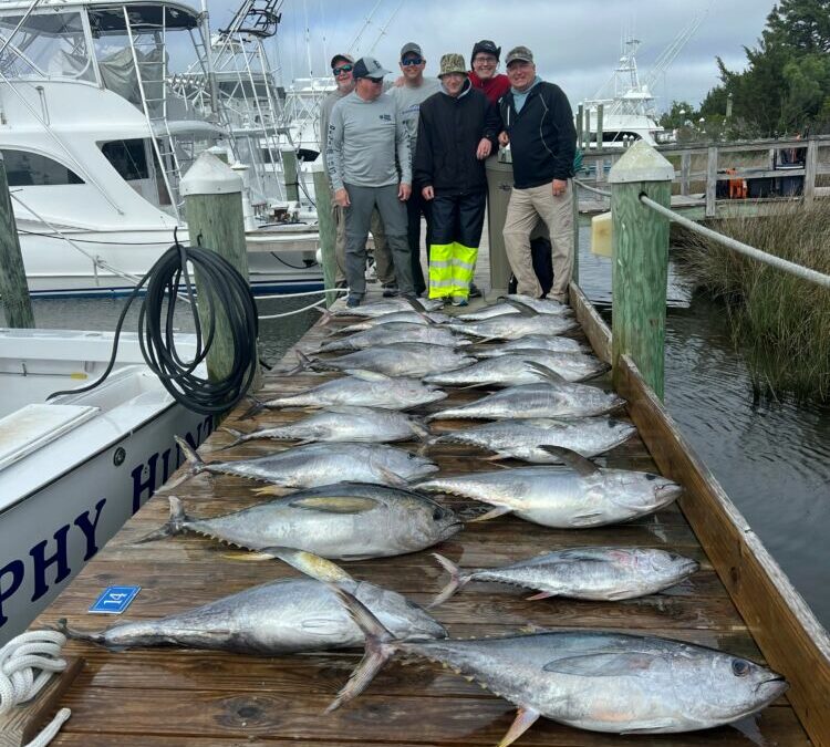 Tuna Tuesday