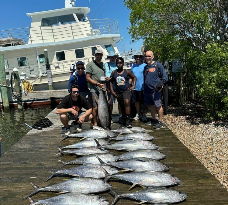 Let’s Talk About Tuna!